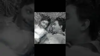this special friendship movie 1964