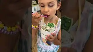 Baskin Robbins Creature Creations Ice Cream Mini Vlog