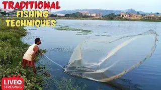 Amazing Net Fishing In Deepor Beel | Roadside Fishing And Catch Many Fishes #FoodXA2Z #fishcutting