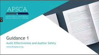Guidance 1: Auditor Effectiveness and Auditor Safety