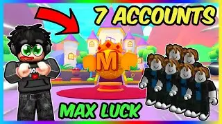 I Hatched The MEGA EGG With 7 Accounts in Pet Warriors! | (Roblox)
