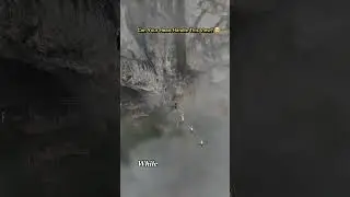 An Adrenaline-Pumping Walk on Tianmen Mountain in China! 😱#shorts #travel #china #tianmenmountain