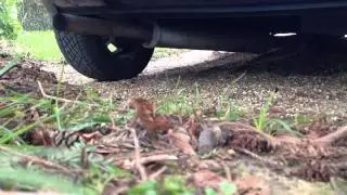 Mini Cooper MPi - RC40 Exhaust