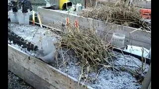 New Year 2026 Tour Of Our Allotments 
