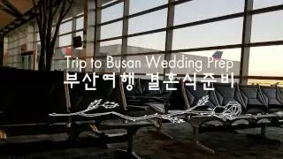 부산여행 & 결혼식준비|Trip to Busan & Wedding Prep