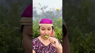 #villagelife #chiyako botaima 2 pate ekoi suiro#organic tea leaves 🍃