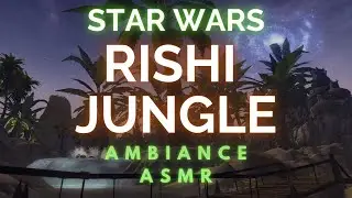 Lost in Star Wars Rainforest Ambience for Sleep & Focus 🌴 | Star Wars Ambience