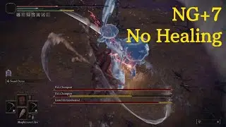 ELDEN RING - Fia's Champions (Offline) [NG+7, No Healing]
