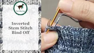 Inverted Stem Stitch Bind Off