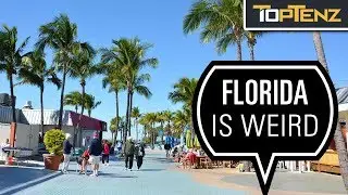 10 Misadventures of &ldquo;Florida Man&rdquo;