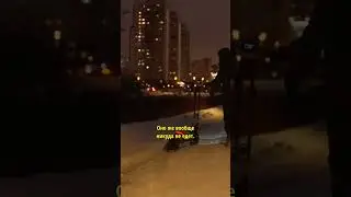 Ничего лучше вы уже не увидите