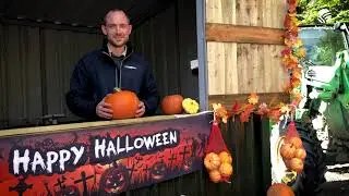Agriland visits Co. Meath pumpkin grower Gerry Toner at Ballymad Farm.