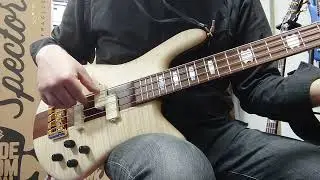 Spector Euro 4 RST Japan Exclusive Natural Matte DEMO