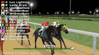 Virtual Horse Racing Game - Real Money