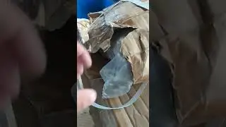 VID 20220718 090717