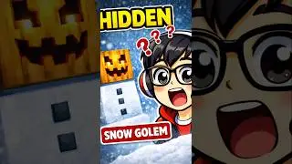 Snow Golem ka Hidden Face 😳