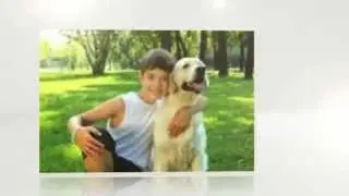 Pet Transport and Pet Shipping Services Provided By AnimalsAway.com