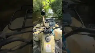 Honda Fourtrax 300 4x4 #honda #florida  #offroad #swimming #atv