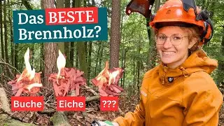 Welches Holz brennt am BESTEN im Kamin? (+Praxis-Test)
