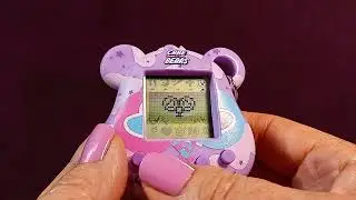 Share Bear Review #asmr