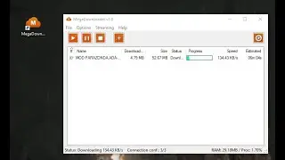 Download any file from the MEGA website without problems