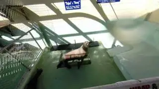 Morro Bay Aquarium 