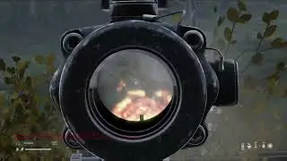 DayZ Boom