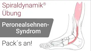 Spiraldynamik&reg; &Uuml;bung: Peronealsehnen-Syndrom