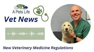 A Pets Life Vet News - New Veterinary Medicine Regulations