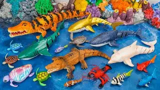 [🐳toy asmr🐳] RC Whale & Shark & Crocodile & Sea Animal Toys ASMR | Satisfying Unboxing Review Toys
