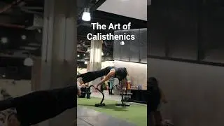 The Art of Calisthenics #calisthenics #motivation #gymmotivation