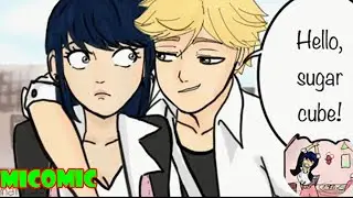 Unlucky Charm Part 1 Miraculous Ladybug Comic Dub