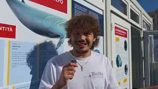 Le voci di Barcolana 57: il nostro video racconto tra gli stand