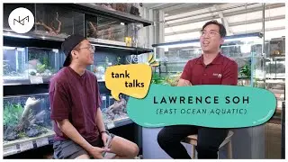 Singapore Aquarium Store East Ocean Aquatic | Tank Talks with Lawrence Soh