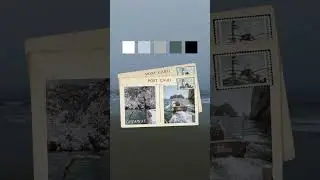 Color Palette Ideas for Your Next Design!