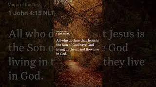 Verse of the Day