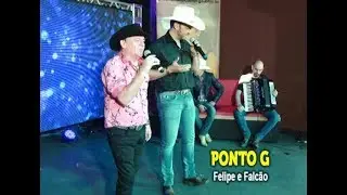 PONTO G com FELIPE & FALC&Atilde;O (cover)