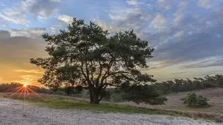 Brunssummerheide Zuid-Limburg