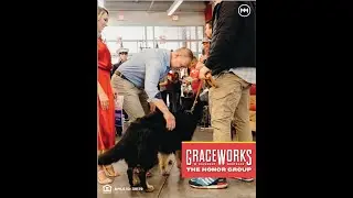 Military Service Dog | Mortgages That Mean More