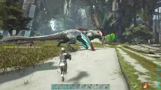 ARK XBOX SMALL TRIBES SERVER 78 AND 89 PVP / ASCENSION!!!