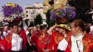 Cortejo das Flores nas ruas de Felgueiras com o “encanto” de sempre pela devoção e festa associada
