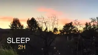 Sunset to Night Nature Sounds 🌅 2 Hours for Sleep & Relaxation
