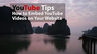 How to Embed YouTube Videos in Your Joomla Articles