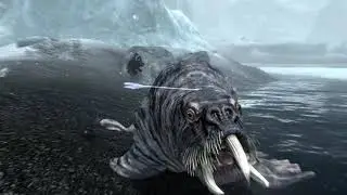 Skyrimshots