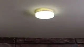 Ceiling LED lamp for outdoors, with motion sensor, cool white, 8W (Gamma)