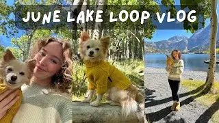 June Lake CA Vlog - Fall Fun and Adventures 