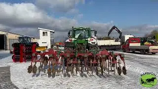 Noraginis skutikas 