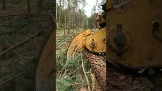 9/24/24 Auto Highlight Logging footage #gopro #logginglife #vlog #machine