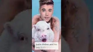 Top 10 Celebrities and their Pets