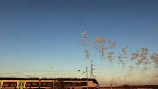 Adelfia 2025 -Lieto Fireworks